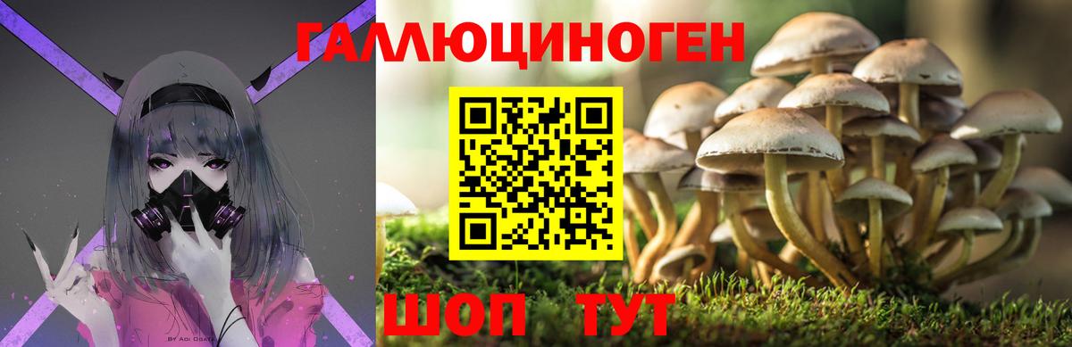Галлюциногенные грибы Cubensis Усть-Илимск